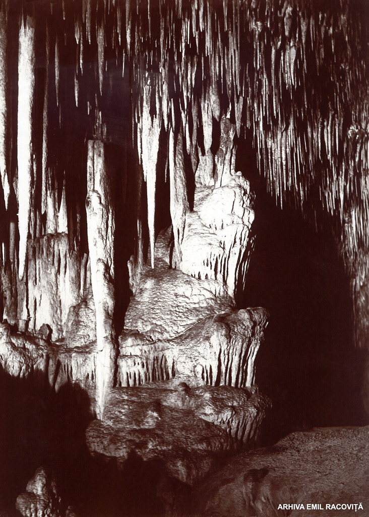 Cuevas del Drach: Masiv stalagmitic